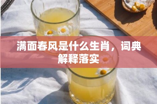 满面春风是什么生肖，词典解释落实