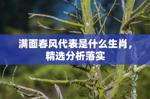 满面春风代表是什么生肖，精选分析落实