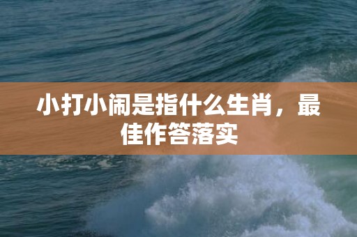 小打小闹是指什么生肖，最佳作答落实