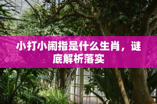 小打小闹指是什么生肖，谜底解析落实
