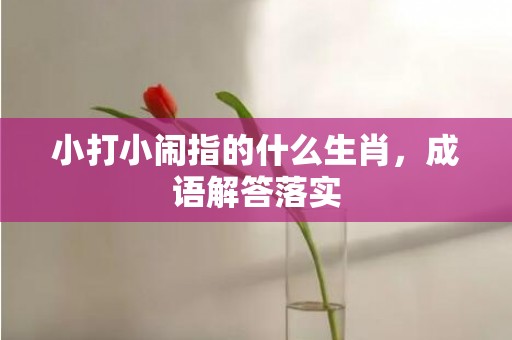 小打小闹指的什么生肖，成语解答落实