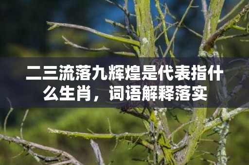 二三流落九辉煌是代表指什么生肖，词语解释落实