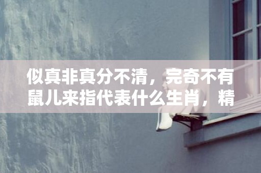 似真非真分不清，完奇不有鼠儿来指代表什么生肖，精选答案落实