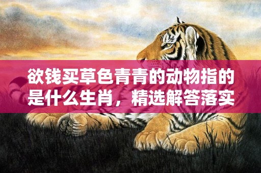 欲钱买草色青青的动物指的是什么生肖，精选解答落实