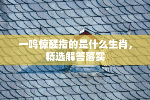 一鸣惊醒指的是什么生肖，精选解答落实