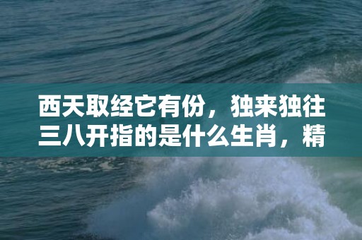 西天取经它有份，独来独往三八开指的是什么生肖，精选解答落实