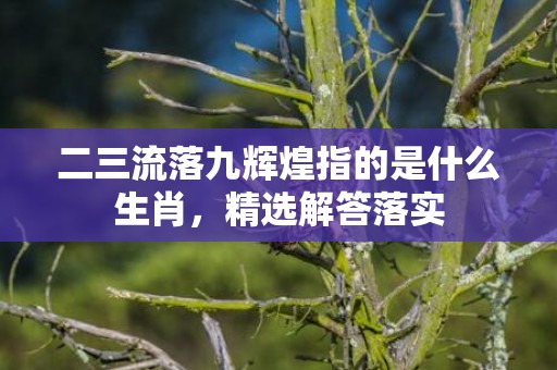 二三流落九辉煌指的是什么生肖，精选解答落实