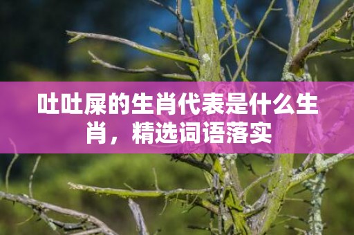 吐吐屎的生肖代表是什么生肖，精选词语落实