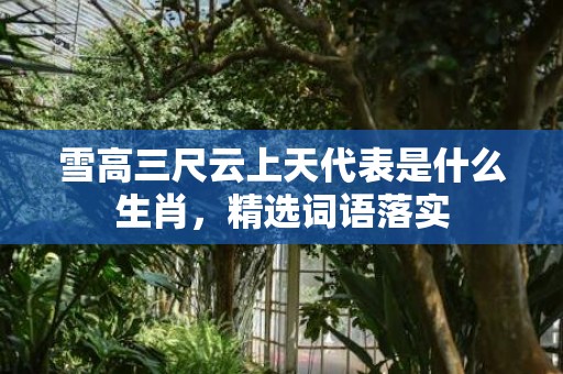 雪高三尺云上天代表是什么生肖，精选词语落实