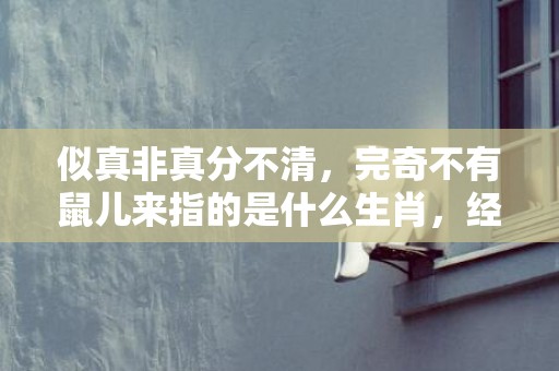 似真非真分不清，完奇不有鼠儿来指的是什么生肖，经典解释落实