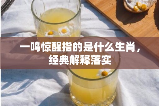 一鸣惊醒指的是什么生肖，经典解释落实