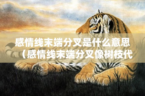 感情线末端分叉是什么意思（感情线末端分叉像树枝代表什么感情线末端出现分叉:末端分...）