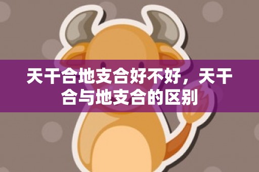 天干合地支合好不好，天干合与地支合的区别