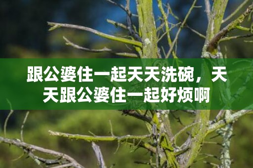 跟公婆住一起天天洗碗，天天跟公婆住一起好烦啊