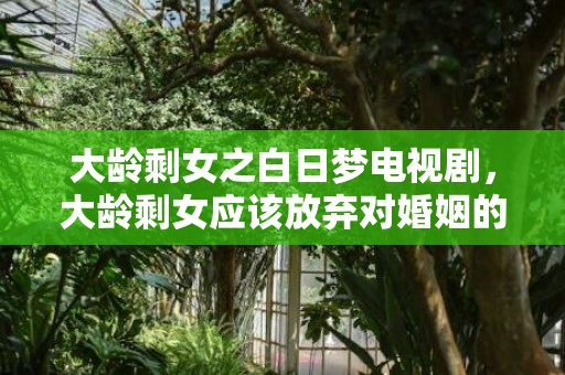 大龄剩女之白日梦电视剧，大龄剩女应该放弃对婚姻的追求吗？其实这个想法是错的