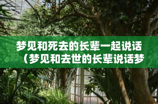 梦见和死去的长辈一起说话（梦见和去世的长辈说话梦见和去逝的长辈说话）