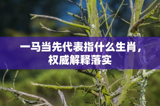 一马当先代表指什么生肖，权威解释落实