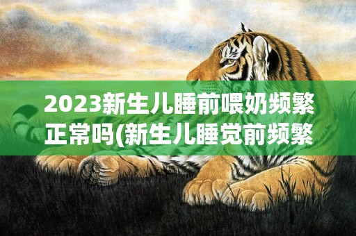2023新生儿睡前喂奶频繁正常吗(新生儿睡觉前频繁吃奶)