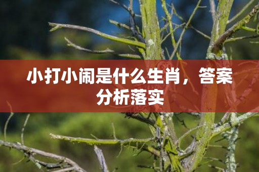 小打小闹是什么生肖，答案分析落实