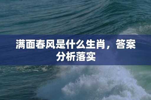 满面春风是什么生肖，答案分析落实