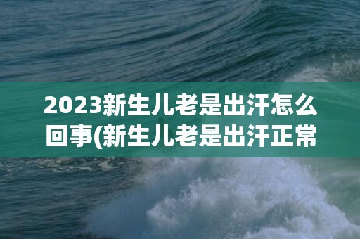 2023新生儿老是出汗怎么回事(新生儿老是出汗正常吗)
