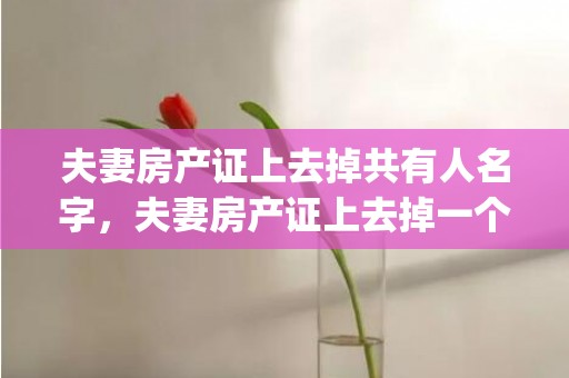 夫妻房产证上去掉共有人名字，夫妻房产证上去掉一个人的名字要钱吗怎么办(夫妻共有房产证有2本)