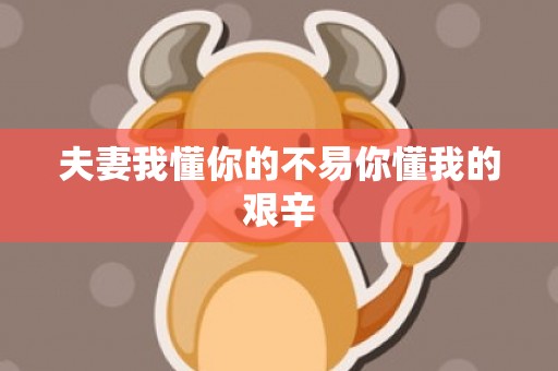 夫妻我懂你的不易你懂我的艰辛
