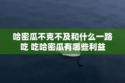 哈密瓜不克不及和什么一路吃 吃哈密瓜有哪些利益