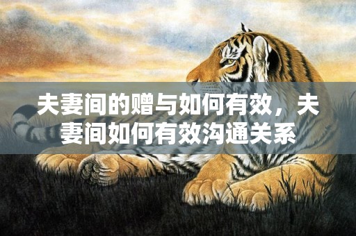 夫妻间的赠与如何有效，夫妻间如何有效沟通关系