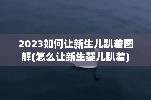2023如何让新生儿趴着图解(怎么让新生婴儿趴着)
