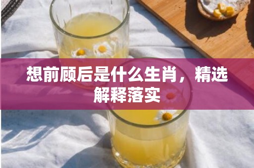 想前顾后是什么生肖，精选解释落实