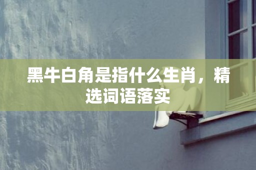 黑牛白角是指什么生肖，精选词语落实