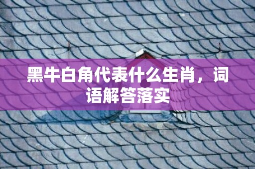 黑牛白角代表什么生肖，词语解答落实