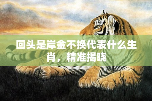 回头是岸金不换代表什么生肖，精准揭晓