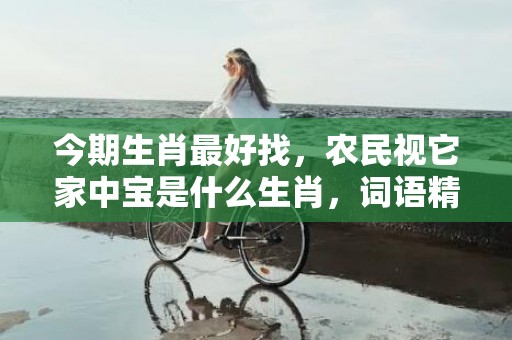 今期生肖最好找，农民视它家中宝是什么生肖，词语精选落实