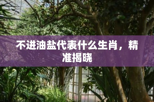 不进油盐代表什么生肖，精准揭晓