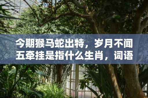 今期猴马蛇出特，岁月不闻五牵挂是指什么生肖，词语解释落实