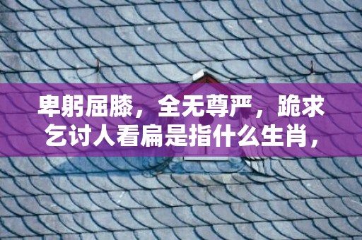 卑躬屈膝，全无尊严，跪求乞讨人看扁是指什么生肖，词语解释落实