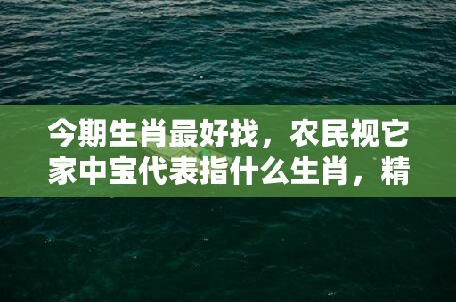 今期生肖最好找，农民视它家中宝代表指什么生肖，精选答案落实