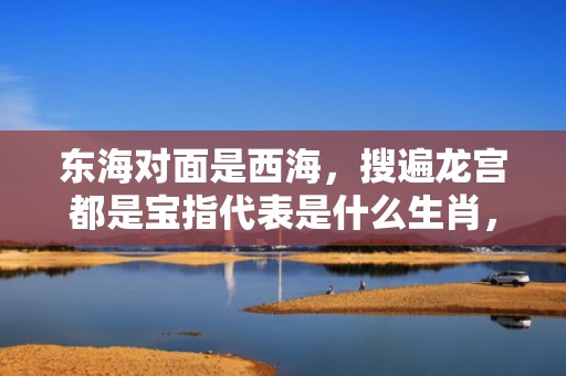 东海对面是西海，搜遍龙宫都是宝指代表是什么生肖，词语解答落实