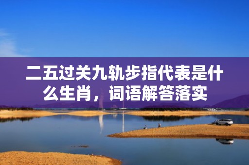 二五过关九轨步指代表是什么生肖，词语解答落实
