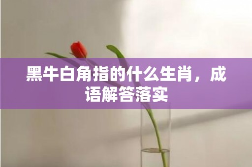 黑牛白角指的什么生肖，成语解答落实