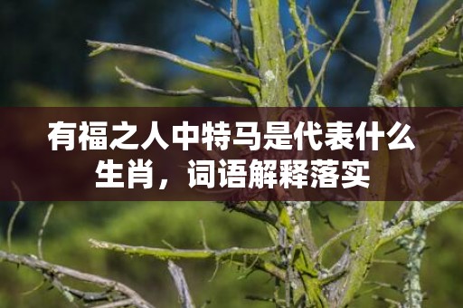 有福之人中特马是代表什么生肖，词语解释落实