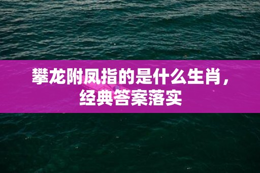 攀龙附凤指的是什么生肖，经典答案落实