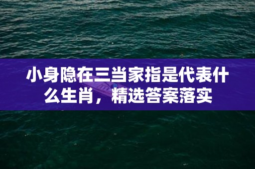 小身隐在三当家指是代表什么生肖，精选答案落实
