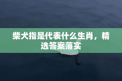 柴犬指是代表什么生肖，精选答案落实
