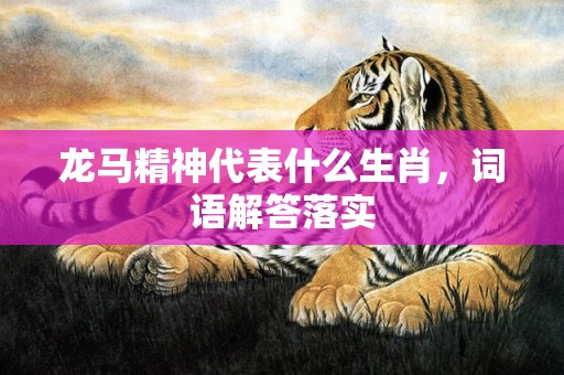 龙马精神代表什么生肖，词语解答落实