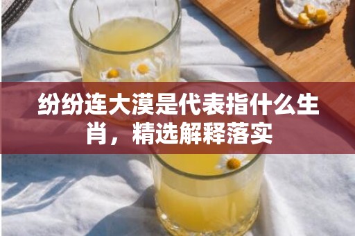 纷纷连大漠是代表指什么生肖，精选解释落实