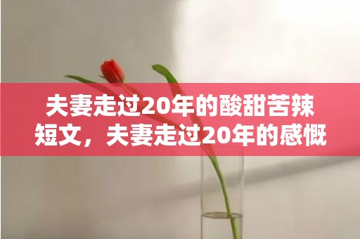 夫妻走过20年的酸甜苦辣短文，夫妻走过20年的感慨语？夫妻间最平凡感人的话