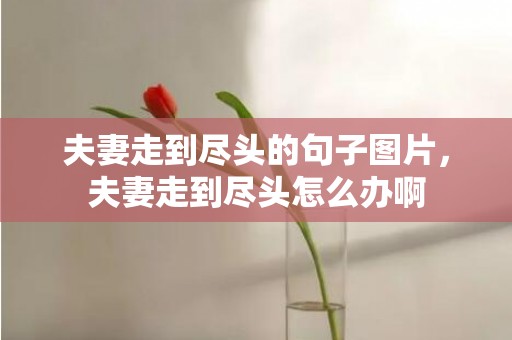 夫妻走到尽头的句子图片，夫妻走到尽头怎么办啊